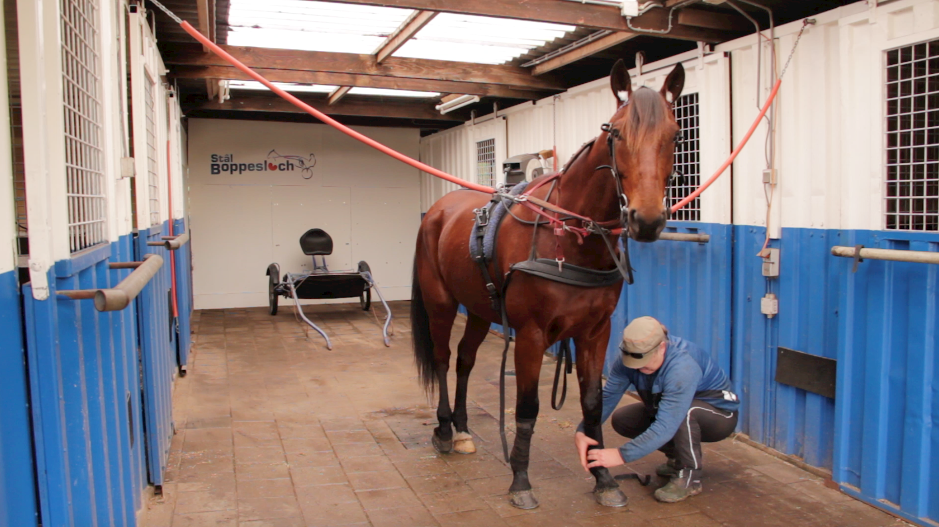 Goed en veilig trainen met Fado